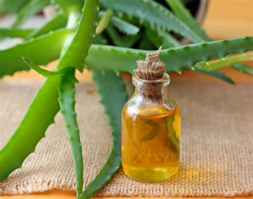 Маски для лица с алоэ от прыщей. Алоэ от прыщей: применение