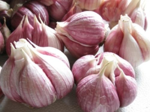 Как восстановить луковицы волос в домашних условиях. Полезные продукты