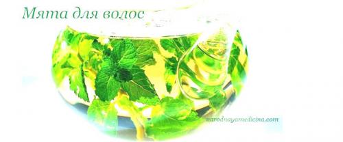 Мята для волос. Мята перечная для волос.