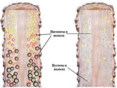 Как осветлить волос в домашних условиях. Особенности процедуры 04