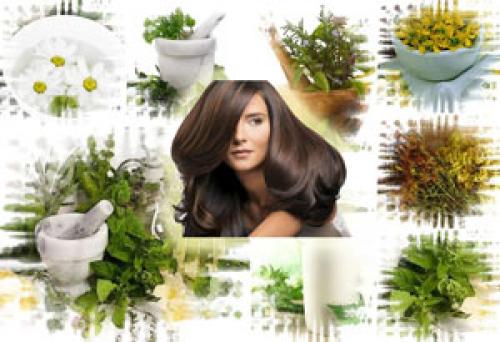 Чем ополаскивать волосы для роста. Травы для роста волос