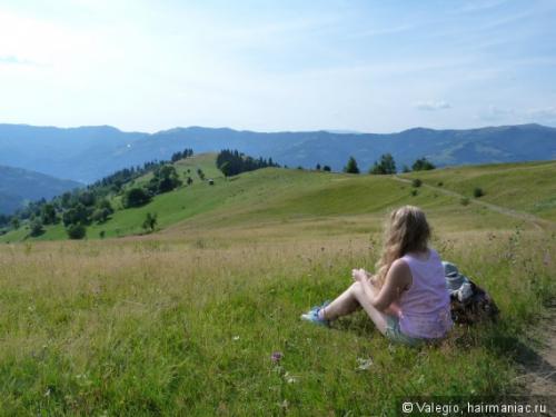 Как сохранить волосы чистыми в походе. Как привести волосы в порядок в диком лесу или уход за волосами в спартанских условиях