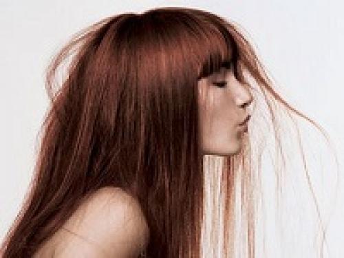 Окрашивание волос порошком, какао. Полезные свойства и воздействие на волосы