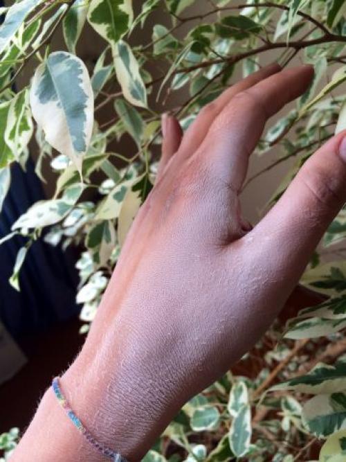 Сухой шампунь, как работает. Описание средства 02