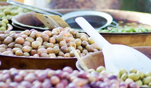 Оливковое масло для волос польза и вред. Общая информация о растении, его состав и полезные свойства