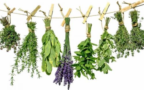 Чем ополаскивать волосы от выпадения. Особенности трав от выпадения и для роста волос