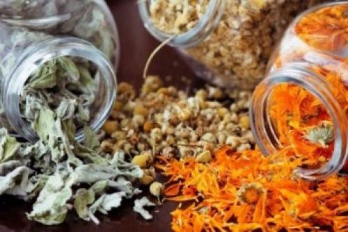 Травы для восстановления волос. Травы от выпадения волос: лучшие народные средства и хиты