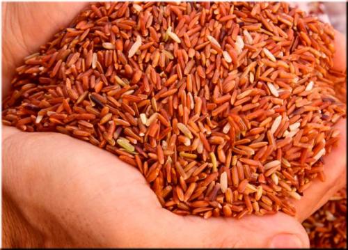 Рисовая вода для лица. Рисовая вода - рецепт лосьона для лица