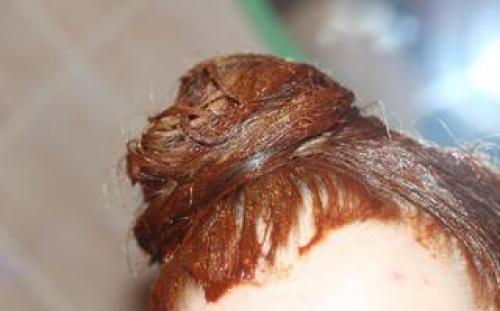 Осветлить волосы в домашних условиях народными. Почему полезно осветлять волосы народными средствами 05 Осветлить волосы в домашних условиях народными. Почему полезно осветлять волосы народными средствами 05