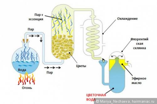 Маска для волос с хной. Простой рецепт маски с хной для быстрого роста и укрепления волос
