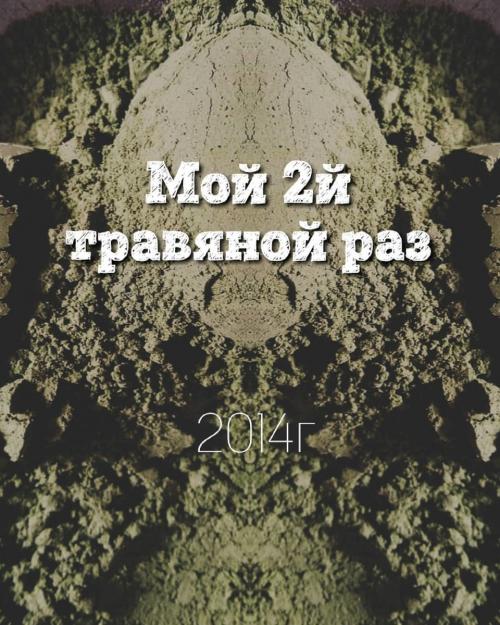 Хна на темно-русых волосах до и после. Моё второе возвращение к травам