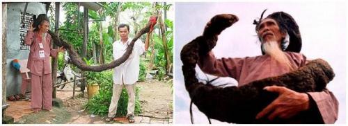 Самые длинные волосы в 13 лет. У кого самые длинные волосы в мире? (Книга Гиннеса)