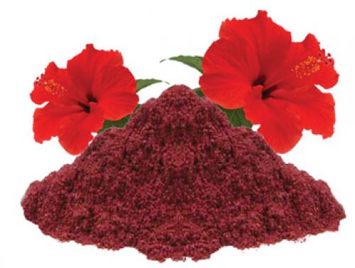 Тонировать волосы каркаде. Гибискус польза для волос