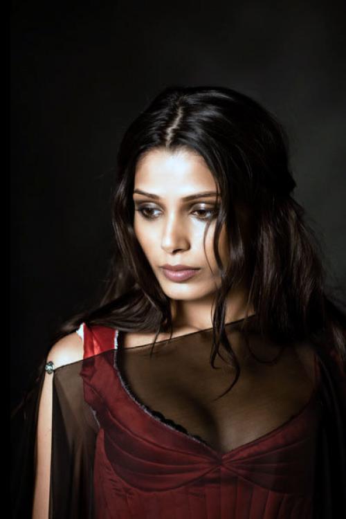 Самые красивые индийские актрисы. Красивые индийские актрисы, которые снимались в голливудских фильмах