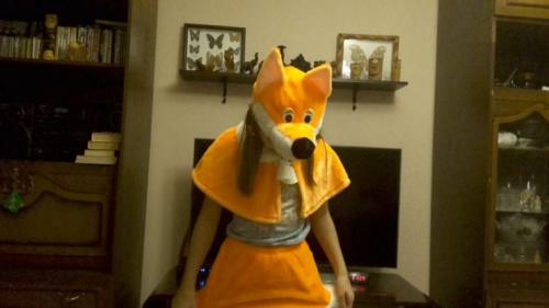 Как сшить костюм лисички для девочки своими руками. Костюм лисы своими руками — идеи и варианта, как сделать ребенку костюм в домашних условиях (фото и видео)