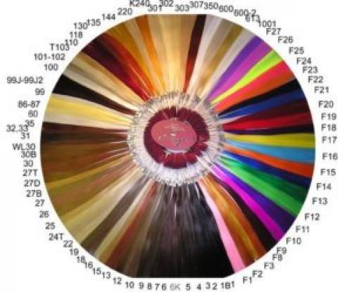 Колористика, как подобрать цвет волос. Определение понятия