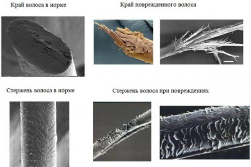 Пенка для волос с термозащитой. Формы термозащитных средств и принцип действия