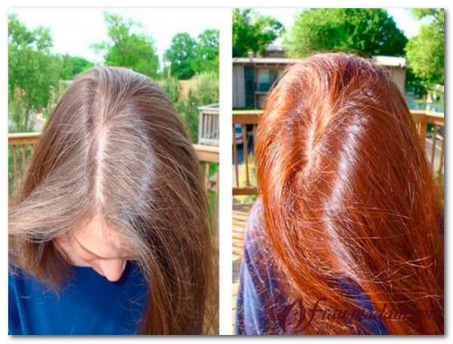 Хна и луковая шелуха. Способы окраски волос натуральными средствами: хна, луковая шелуха и куркума (пропорции)