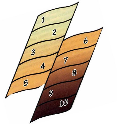 Цвет волос к. Как выбрать цвет волос который будет вам к лицу 09 Цвет волос к. Как выбрать цвет волос который будет вам к лицу 09