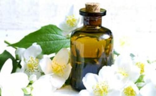 Масло жасмина свойства и применение для волос. Эфирное масло жасмина для волос - применение: 01 Масло жасмина свойства и применение для волос. Эфирное масло жасмина для волос - применение: 01