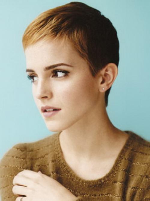 Короткие стрижки без укладки на тонкие волосы. Варианты стрижек без укладки для тонких прямых волос