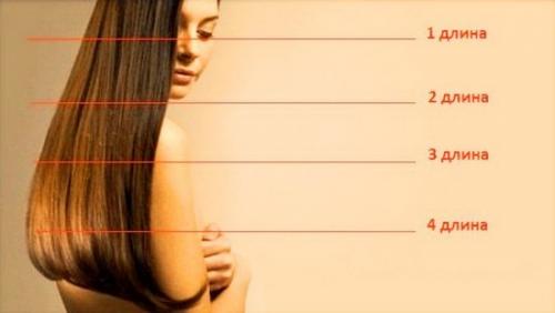 Как определить длину волос мужчине. Как определить длину волос в сантиметрах: основные способы