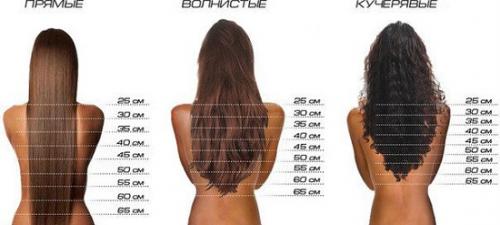 Как определить длину волос мужчине. Как определить длину волос в сантиметрах: основные способы