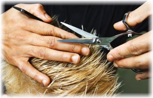 Как подстричь короткие волосы. Как подстричь короткую женскую стрижку