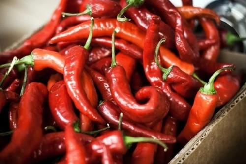 Репейное масло с красным перцем от облысения. Репейное масло с перцем: маска для роста бороды