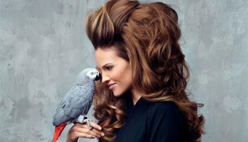 Витамины для волос алерана. Алерана витамины для роста волос отзывы