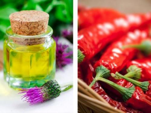 Маска для волос репейное масло и перцовая настойка. Маски с перцовой настойкой: отзывы 03 Маска для волос репейное масло и перцовая настойка. Маски с перцовой настойкой: отзывы 03