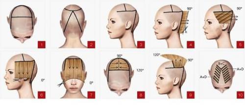 Стрижка короткая женская пошагово. Схема универсальной короткой стрижки 01