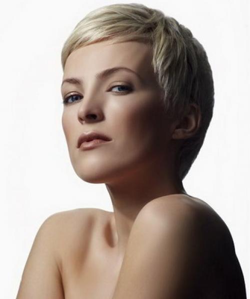 Технология выполнения короткой женской стрижки. Типы моделирования горизонтальных и вертикальных стрижек 17 Технология выполнения короткой женской стрижки. Типы моделирования горизонтальных и вертикальных стрижек 17