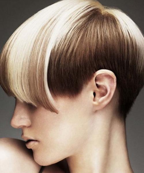 Технология выполнения короткой женской стрижки. Типы моделирования горизонтальных и вертикальных стрижек 08 Технология выполнения короткой женской стрижки. Типы моделирования горизонтальных и вертикальных стрижек 08