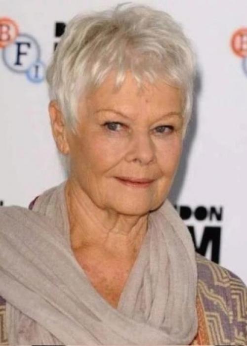 Техника стрижки гарсон. Как сделать омбре на волосах правильно самой за 5 шагов 02 Техника стрижки гарсон. Как сделать омбре на волосах правильно самой за 5 шагов 02