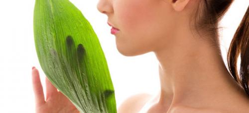 Как закрасить седину народными средствами. Народные средства от седины