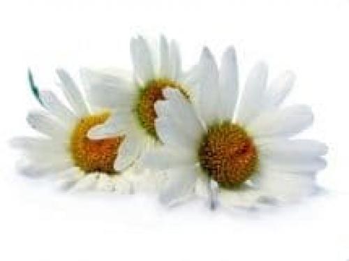 Онлайн подбор цвет волос. Как подобрать прическу по фото? 01