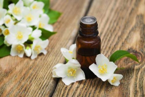 Отвар жасмина для волос. Эфирное масло жасмина для волос