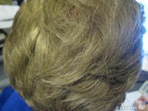 Волосы ольха цвет. Натуральность в моде: изучаем цвет волос ольха 14