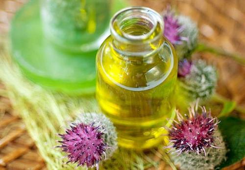 Маска для волос с яйцом и медом и репейным маслом. Практичные советы по использованию