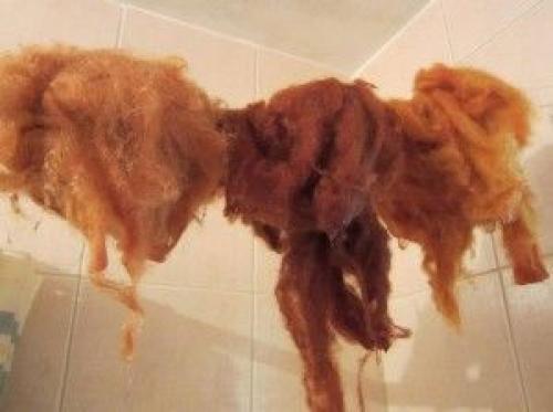 Как покрасить волосы в домашних условиях Луковой шелухой. Рецепты красок, масок для окрашивания и лечения шевелюры 07 Как покрасить волосы в домашних условиях Луковой шелухой. Рецепты красок, масок для окрашивания и лечения шевелюры 07