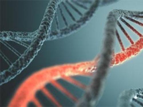 Алопеция гнездная лечение. Лечение гнездной алопеции 04 Алопеция гнездная лечение. Лечение гнездной алопеции 04