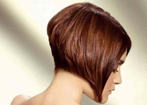 Кому идет каре. Кому идет стрижка каре: какие есть варианты укладки и виды