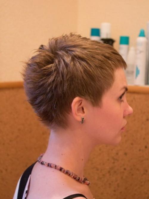 Как уложить прическу ежик. Стрижка с «ежиком» на макушке для девушек
