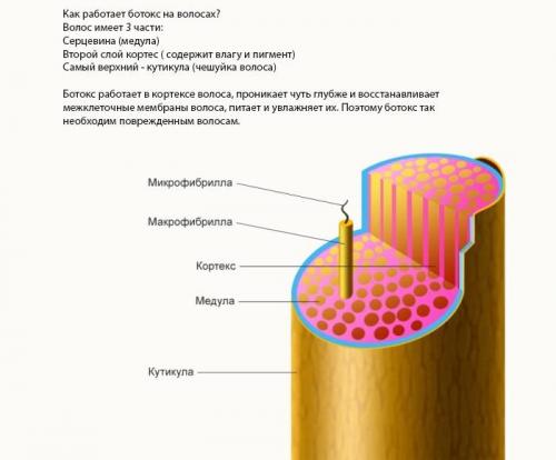 Как сделать тонкие волосы гуще. Роскошная грива: 8 рекомендаций, как сделать волосы густыми и блестящими 11 Как сделать тонкие волосы гуще. Роскошная грива: 8 рекомендаций, как сделать волосы густыми и блестящими 11