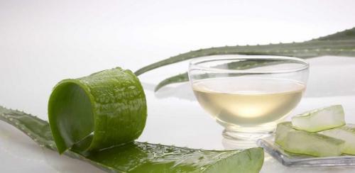 Спрей с алоэ для волос. Как оздоровить волосы с помощью алоэ вера