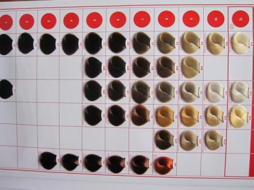 Концепт палитра цветов. Краска для волос Concept (Концепт): палитра на фото, отзывы