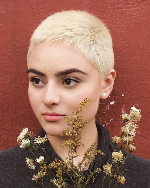 Как уложить прическу ежик. Стрижка ёжик для супер-стильных и смелых женщин: оно того стоит!