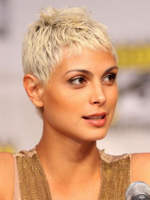 Как уложить прическу ежик. Стрижка с «ежиком» на макушке для девушек