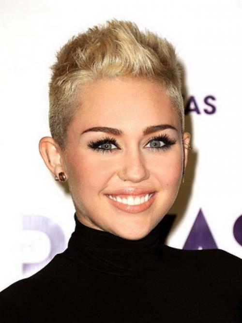 Как уложить прическу ежик. Стрижка с «ежиком» на макушке для девушек